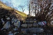 Monte Zucco - Pizzo Cerro ad anello da S. Antonio Abbandonato - 13 febbraio 2019 - FOTOGALLERY